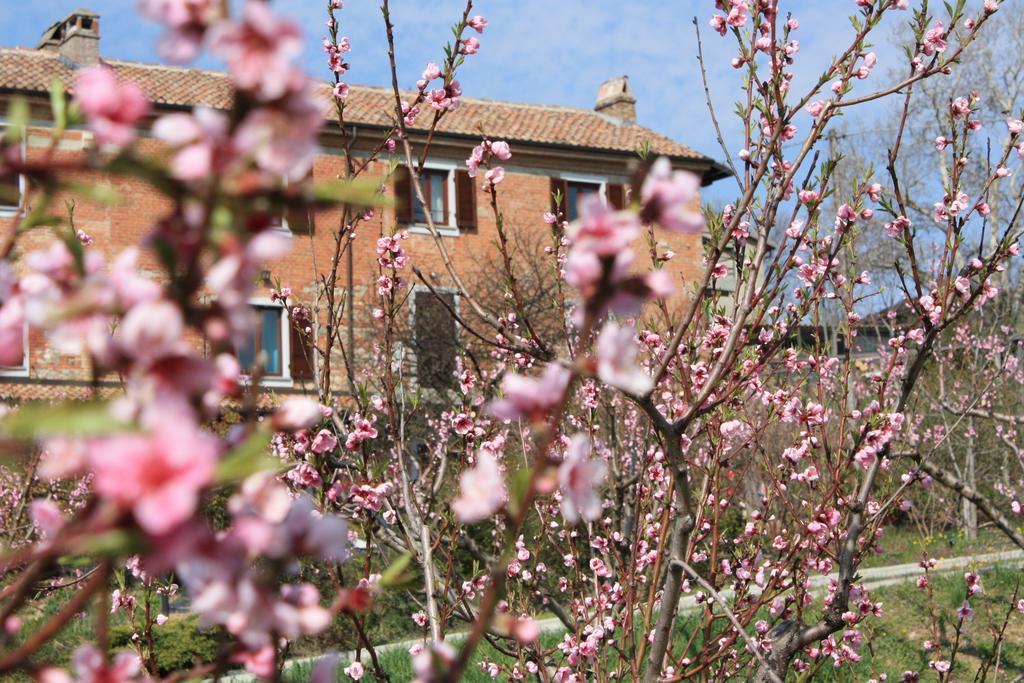 B&B Di Spineto Villaromagnano Luaran gambar
