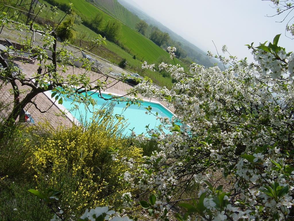 B&B Di Spineto Villaromagnano Luaran gambar